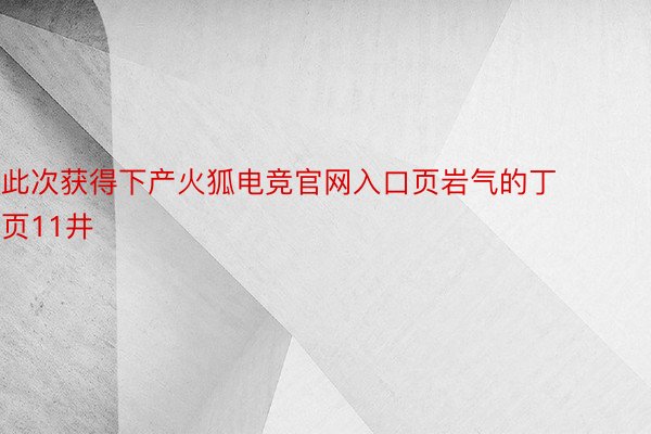 此次获得下产火狐电竞官网入口页岩气的丁页11井