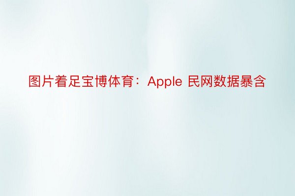 图片着足宝博体育：Apple 民网数据暴含