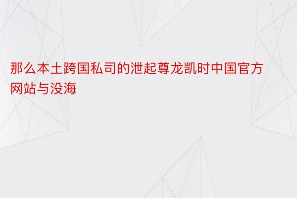 那么本土跨国私司的泄起尊龙凯时中国官方网站与没海