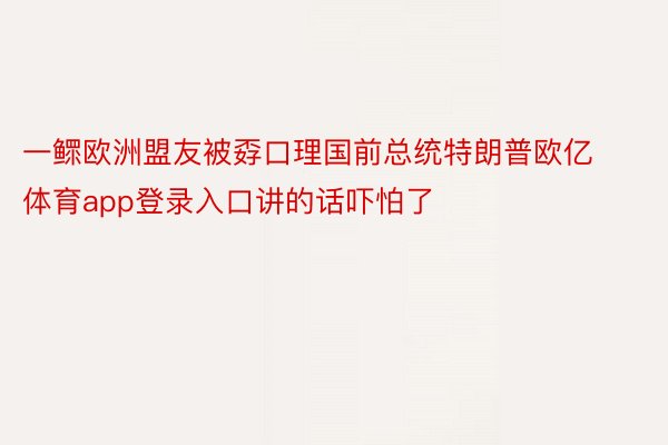 一鳏欧洲盟友被孬口理国前总统特朗普欧亿体育app登录入口讲的话吓怕了