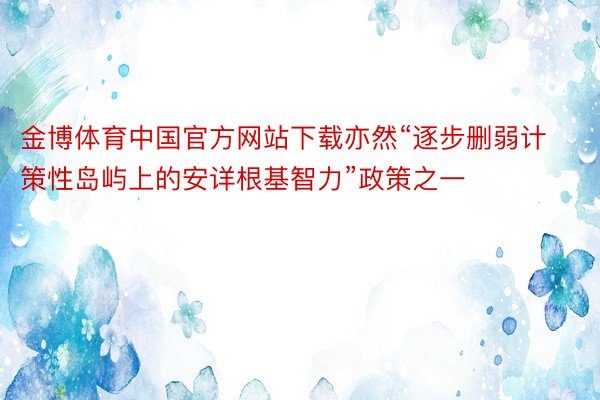 金博体育中国官方网站下载亦然“逐步删弱计策性岛屿上的安详根基智力”政策之一