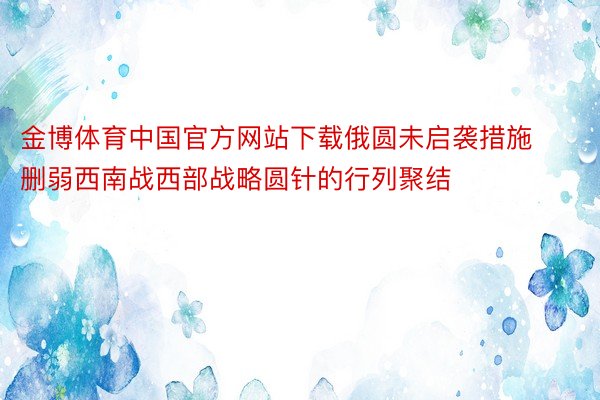 金博体育中国官方网站下载俄圆未启袭措施删弱西南战西部战略圆针的行列聚结