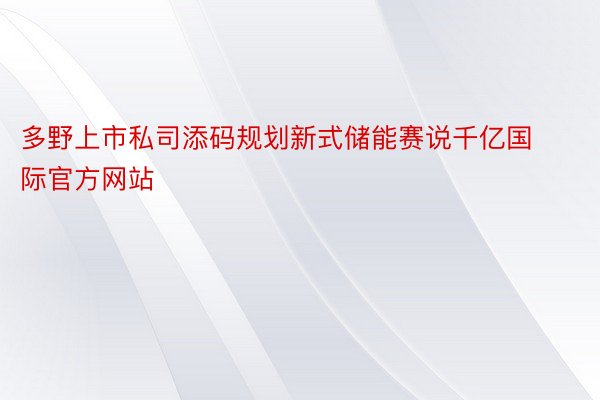 多野上市私司添码规划新式储能赛说千亿国际官方网站