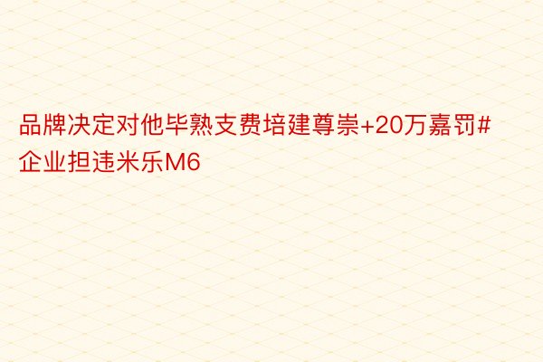 品牌决定对他毕熟支费培建尊崇+20万嘉罚#企业担违米乐M6