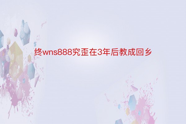 终wns888究歪在3年后教成回乡