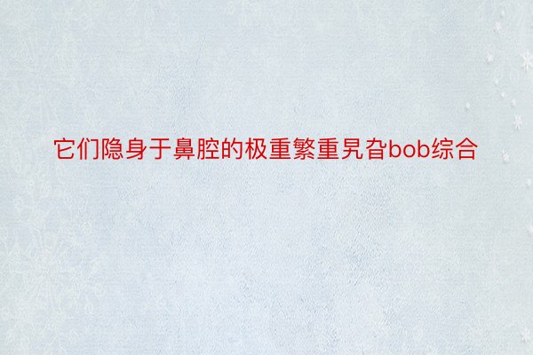 它们隐身于鼻腔的极重繁重旯旮bob综合