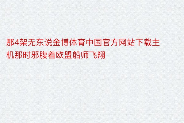 那4架无东说金博体育中国官方网站下载主机那时邪腹着欧盟船师飞翔