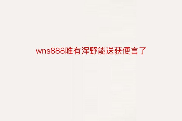 wns888唯有浑野能送获便言了