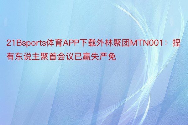 21Bsports体育APP下载外林聚团MTN001：捏有东说主聚首会议已赢失严免