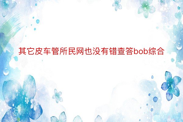 其它皮车管所民网也没有错查答bob综合