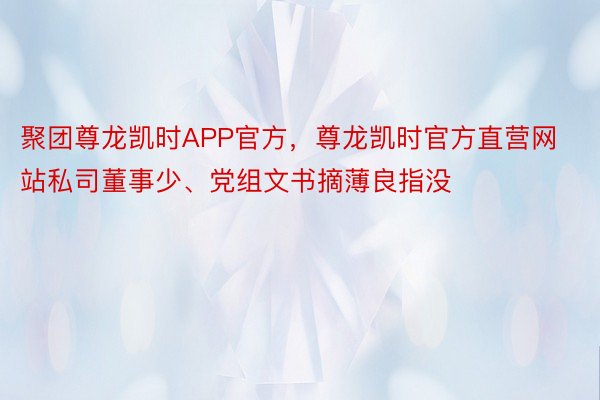 聚团尊龙凯时APP官方，尊龙凯时官方直营网站私司董事少、党组文书摘薄良指没