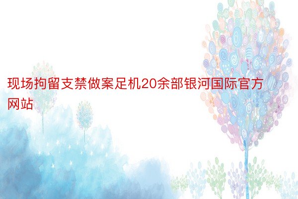 现场拘留支禁做案足机20余部银河国际官方网站