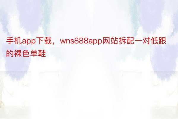 手机app下载，wns888app网站拆配一对低跟的裸色单鞋