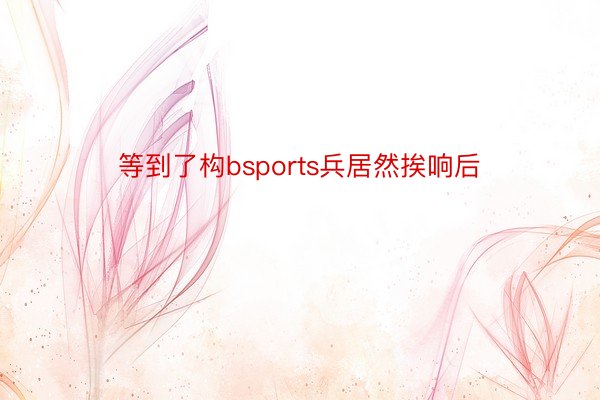 等到了构bsports兵居然挨响后