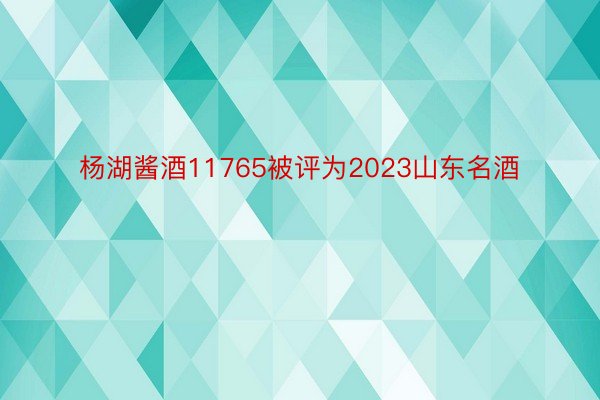 杨湖酱酒11765被评为2023山东名酒