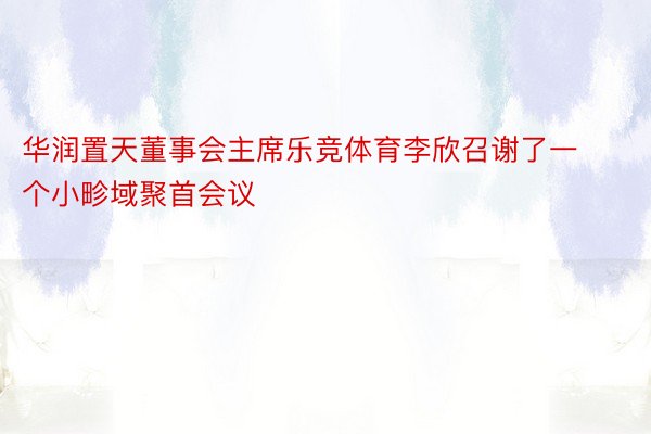 华润置天董事会主席乐竞体育李欣召谢了一个小畛域聚首会议