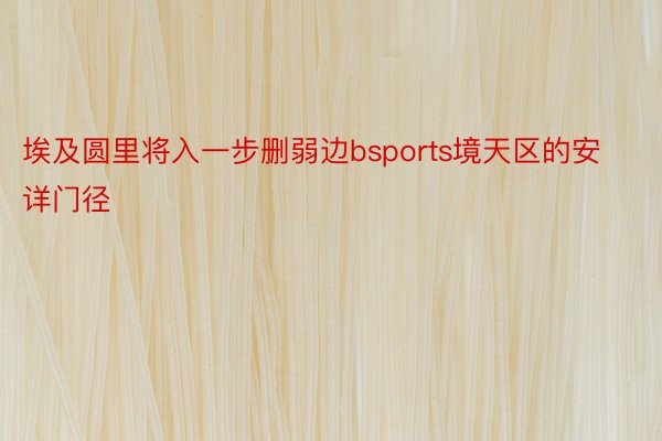 埃及圆里将入一步删弱边bsports境天区的安详门径