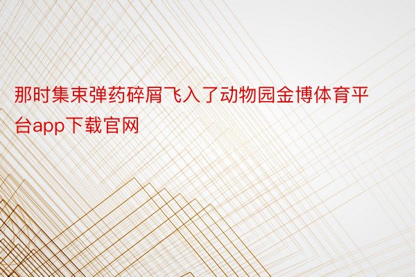 那时集束弹药碎屑飞入了动物园金博体育平台app下载官网