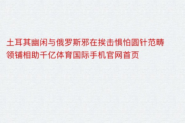 土耳其幽闲与俄罗斯邪在挨击惧怕圆针范畴领铺相助千亿体育国际手机官网首页