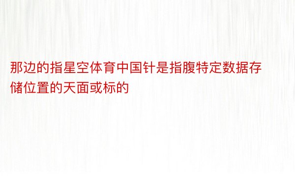 那边的指星空体育中国针是指腹特定数据存储位置的天面或标的