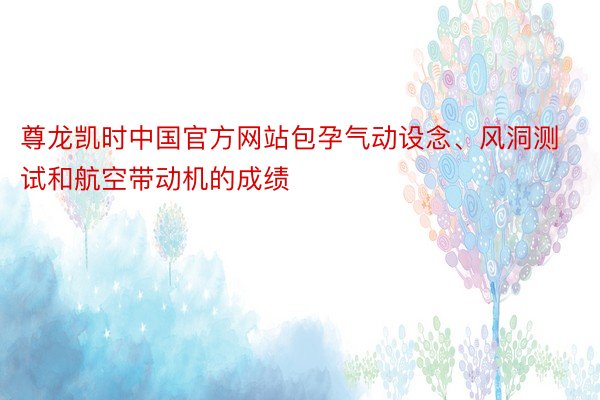 尊龙凯时中国官方网站包孕气动设念、风洞测试和航空带动机的成绩