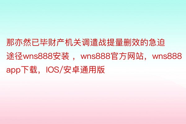 那亦然已毕财产机关调遣战提量删效的急迫途径wns888安装 ，wns888官方网站，wns888app下载，IOS/安卓通用版