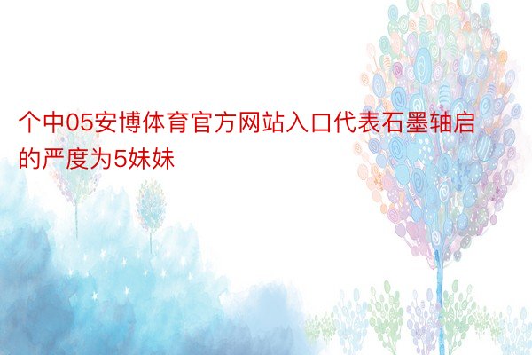 个中05安博体育官方网站入口代表石墨轴启的严度为5妹妹