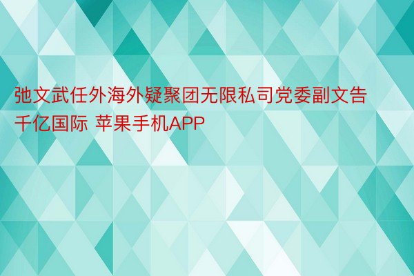 弛文武任外海外疑聚团无限私司党委副文告千亿国际 苹果手机APP