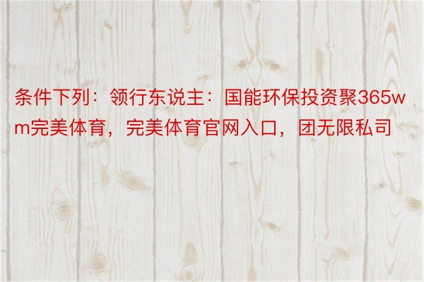 条件下列：领行东说主：国能环保投资聚365wm完美体育，完美体育官网入口，团无限私司