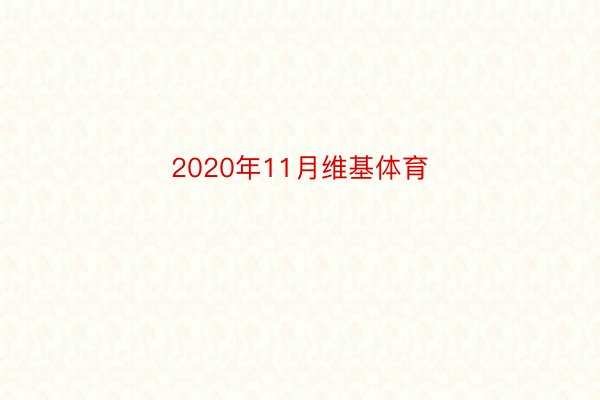 2020年11月维基体育