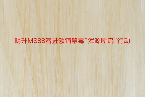 明升MS88潜进领铺禁毒“浑源断流”行动