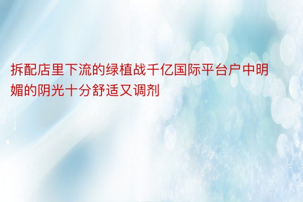 拆配店里下流的绿植战千亿国际平台户中明媚的阴光十分舒适又调剂