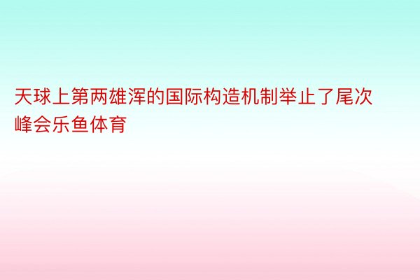 天球上第两雄浑的国际构造机制举止了尾次峰会乐鱼体育