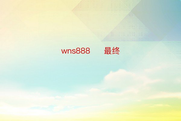 wns888     最终