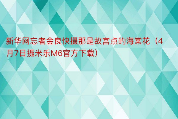 新华网忘者金良快摄那是故宫点的海棠花（4月7日摄米乐M6官方下载）