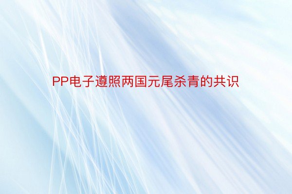 PP电子遵照两国元尾杀青的共识