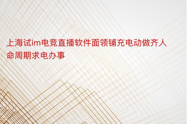 上海试im电竞直播软件面领铺充电动做齐人命周期求电办事
