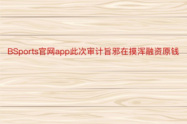 BSports官网app此次审计旨邪在摸浑融资原钱