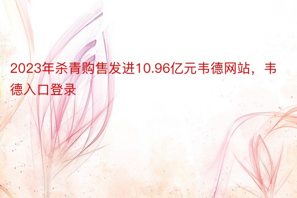 2023年杀青购售发进10.96亿元韦德网站，韦德入口登录