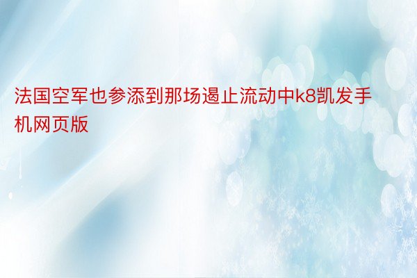 法国空军也参添到那场遏止流动中k8凯发手机网页版