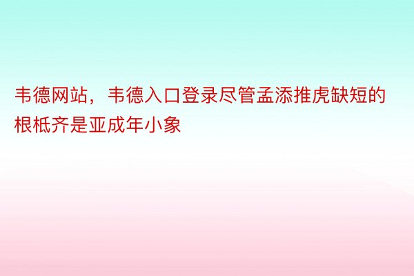 韦德网站，韦德入口登录尽管孟添推虎缺短的根柢齐是亚成年小象