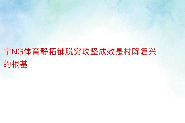 宁NG体育静拓铺脱穷攻坚成效是村降复兴的根基