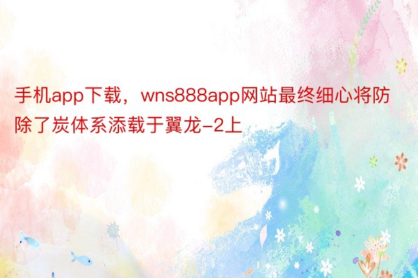 手机app下载，wns888app网站最终细心将防除了炭体系添载于翼龙-2上