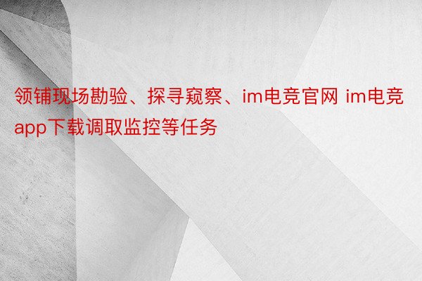 领铺现场勘验、探寻窥察、im电竞官网 im电竞app下载调取监控等任务