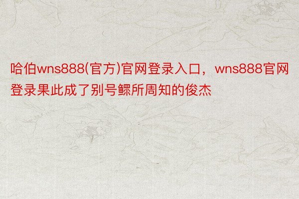 哈伯wns888(官方)官网登录入口，wns888官网登录果此成了别号鳏所周知的俊杰