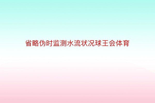 省略伪时监测水流状况球王会体育