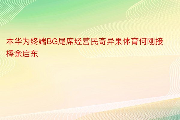 本华为终端BG尾席经营民奇异果体育何刚接棒余启东