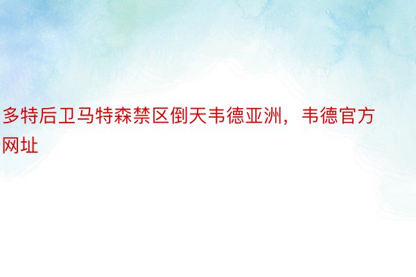 多特后卫马特森禁区倒天韦德亚洲，韦德官方网址