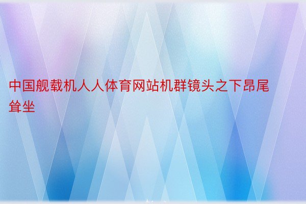 中国舰载机人人体育网站机群镜头之下昂尾耸坐