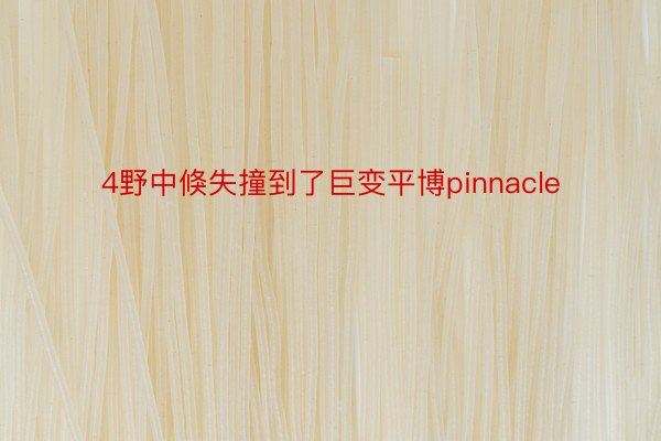 4野中倏失撞到了巨变平博pinnacle